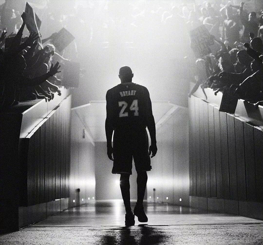 正在回暖 正在回暖